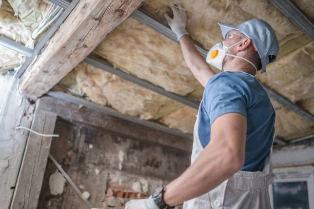 Best Insulation Maintenance and Repair in Wade, MS